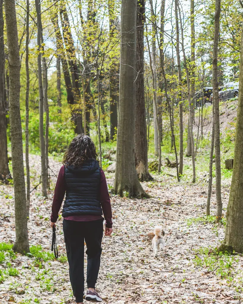 Heather walks away down a leaf-covered path into sunlit spring forest, her small dog trotting ahead of her.